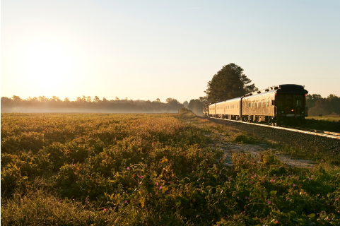 Train Image